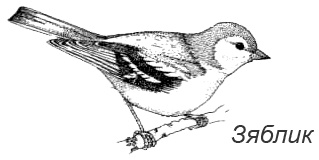 Иллюстрация к книге — Походная книга Муми-тролля [i_099.jpg]