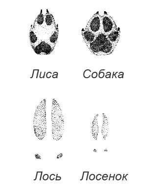 Иллюстрация к книге — Походная книга Муми-тролля [i_106.jpg]