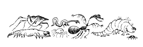 Иллюстрация к книге — Походная книга Муми-тролля [i_109.jpg]