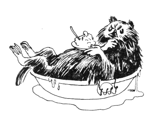 Иллюстрация к книге — Походная книга Муми-тролля [i_142.jpg]