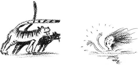 Иллюстрация к книге — Бежим отсюда! [i_022.jpg]