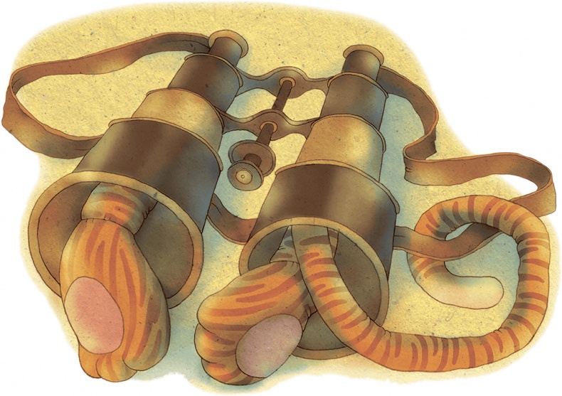 Иллюстрация к книге — Клад под старым дубом [i_036.jpg]