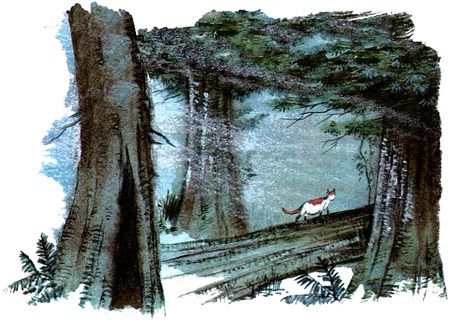 Иллюстрация к книге — Под крыльцом [img09.jpg]