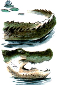 Иллюстрация к книге — Под крыльцом [img13.jpg]