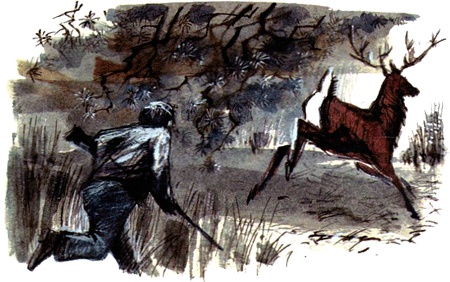 Иллюстрация к книге — Под крыльцом [img20.jpg]