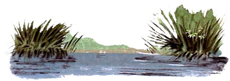 Иллюстрация к книге — Под крыльцом [img28.jpg]