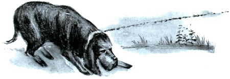 Иллюстрация к книге — Под крыльцом [img30.jpg]