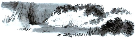 Иллюстрация к книге — Под крыльцом [img39.jpg]