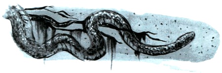 Иллюстрация к книге — Под крыльцом [img54.jpg]