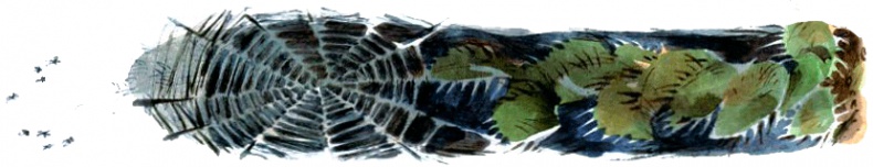 Иллюстрация к книге — Под крыльцом [img70.jpg]