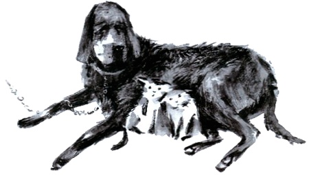 Иллюстрация к книге — Под крыльцом [img92.jpg]