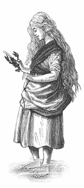 Иллюстрация к книге — Робинзонетта [i_001.jpg]