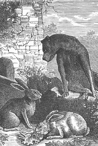 Иллюстрация к книге — Робинзонетта [i_012.jpg]