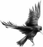 Иллюстрация к книге — Игры викингов [i_001.jpg]