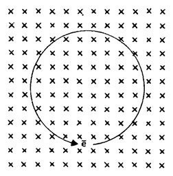 Иллюстрация к книге — Планиверсум. Виртуальный контакт с двухмерным миром [img_057.jpg]