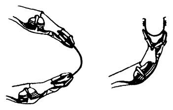 Иллюстрация к книге — Планиверсум. Виртуальный контакт с двухмерным миром [img_072.jpg]