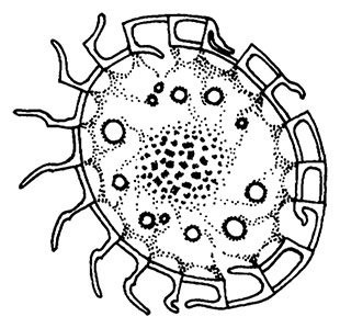 Иллюстрация к книге — Планиверсум. Виртуальный контакт с двухмерным миром [img_112.jpg]