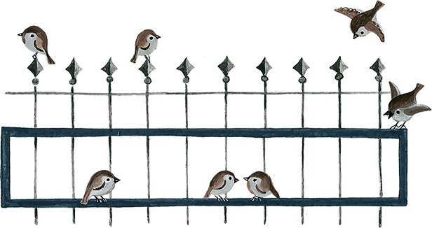 Иллюстрация к книге — Маленькая принцесса. Приключения Сары Кру [i_011.jpg]