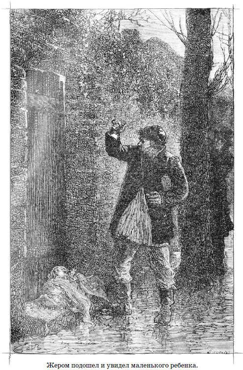 Иллюстрация к книге — Без семьи [i_002.jpg]