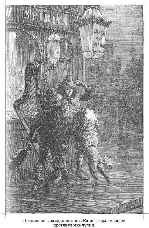 Иллюстрация к книге — Без семьи [i_012.jpg]