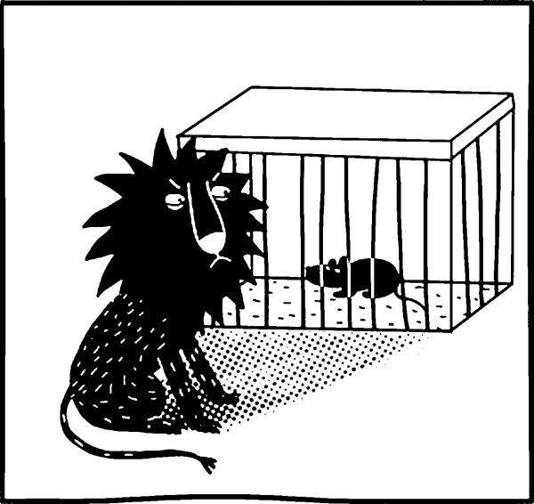 Иллюстрация к книге — Весь сантехник в одной стопке [i_107.jpg]