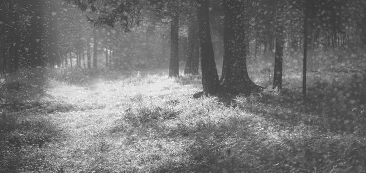 Иллюстрация к книге — Проза Дождя [i_020.jpg]