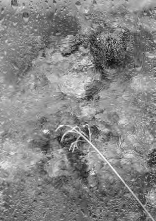 Иллюстрация к книге — Проза Дождя [i_024.jpg]