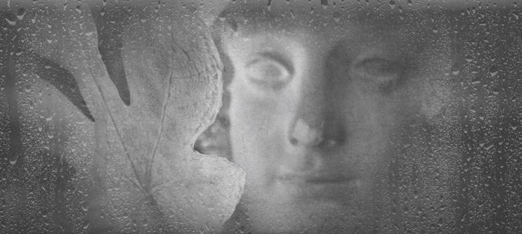 Иллюстрация к книге — Проза Дождя [i_032.jpg]