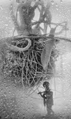 Иллюстрация к книге — Проза Дождя [i_035.jpg]