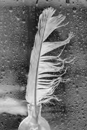 Иллюстрация к книге — Проза Дождя [i_037.jpg]