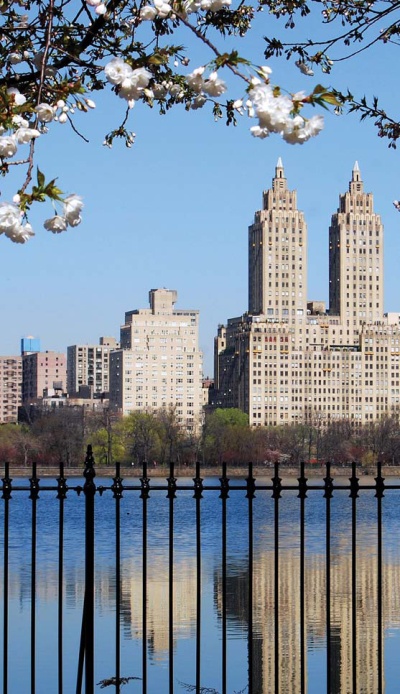 Иллюстрация к книге — Нью-Йоркский марафон. Записки не по уму [i_005.jpg]