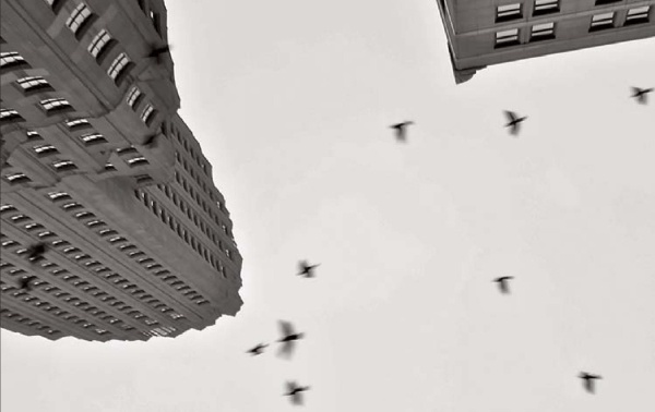 Иллюстрация к книге — Нью-Йоркский марафон. Записки не по уму [i_027.jpg]