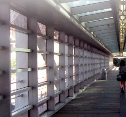 Иллюстрация к книге — Нью-Йоркский марафон. Записки не по уму [i_030.jpg]