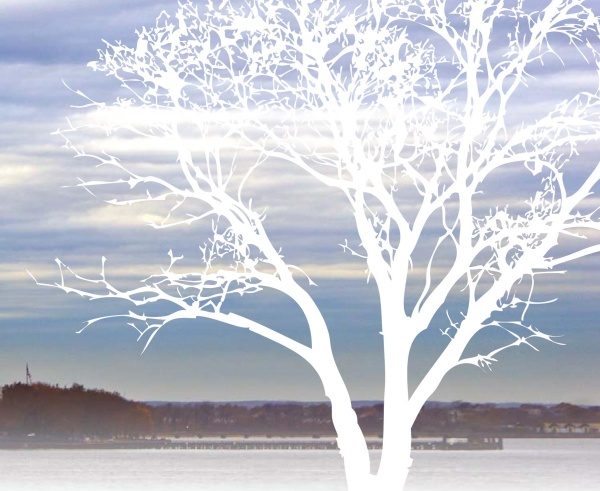 Иллюстрация к книге — Нью-Йоркский марафон. Записки не по уму [i_036.jpg]