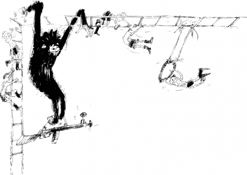 Иллюстрация к книге — Рядовой Горилла [_04.jpg]