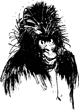 Иллюстрация к книге — Рядовой Горилла [_32.jpg]