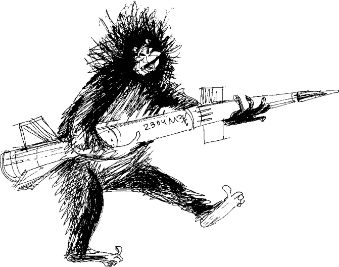 Иллюстрация к книге — Рядовой Горилла [_34.jpg]