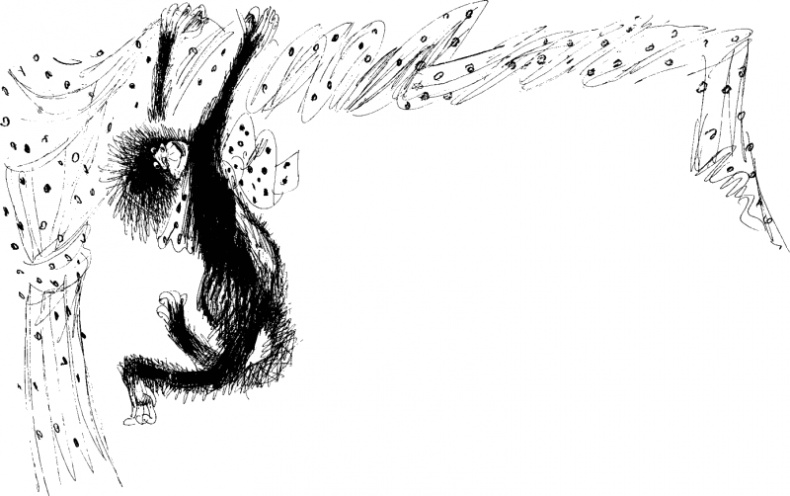 Иллюстрация к книге — Рядовой Горилла [_37.jpg]