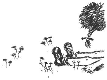 Иллюстрация к книге — Президент и его министры [Autogen_eBook_id1.jpg]