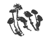 Иллюстрация к книге — Президент и его министры [Autogen_eBook_id10.jpg]