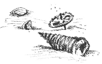 Иллюстрация к книге — Президент и его министры [Autogen_eBook_id33.jpg]