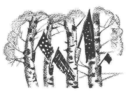 Иллюстрация к книге — Президент и его министры [Autogen_eBook_id6.jpg]