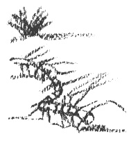 Иллюстрация к книге — Президент и его министры [Autogen_eBook_id9.jpg]