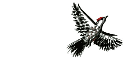 Иллюстрация к книге — Рябиновое солнце [img11.jpg]