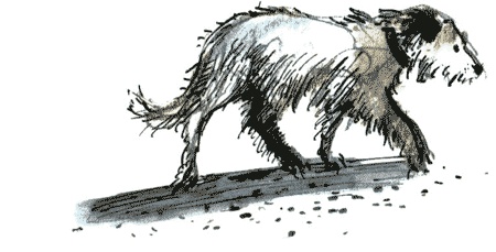 Иллюстрация к книге — Рябиновое солнце [img17.jpg]