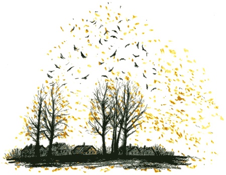 Иллюстрация к книге — Рябиновое солнце [img25.jpg]