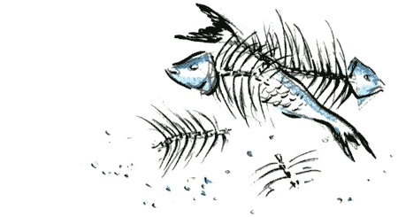 Иллюстрация к книге — Рябиновое солнце [img32.jpg]