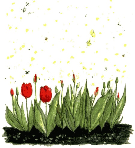 Иллюстрация к книге — Рябиновое солнце [img44.jpg]