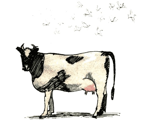 Иллюстрация к книге — Рябиновое солнце [img49.jpg]