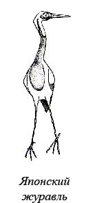 Иллюстрация к книге — Остров, одетый в джерси [i_010.jpg]